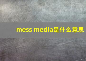 mess media是什么意思